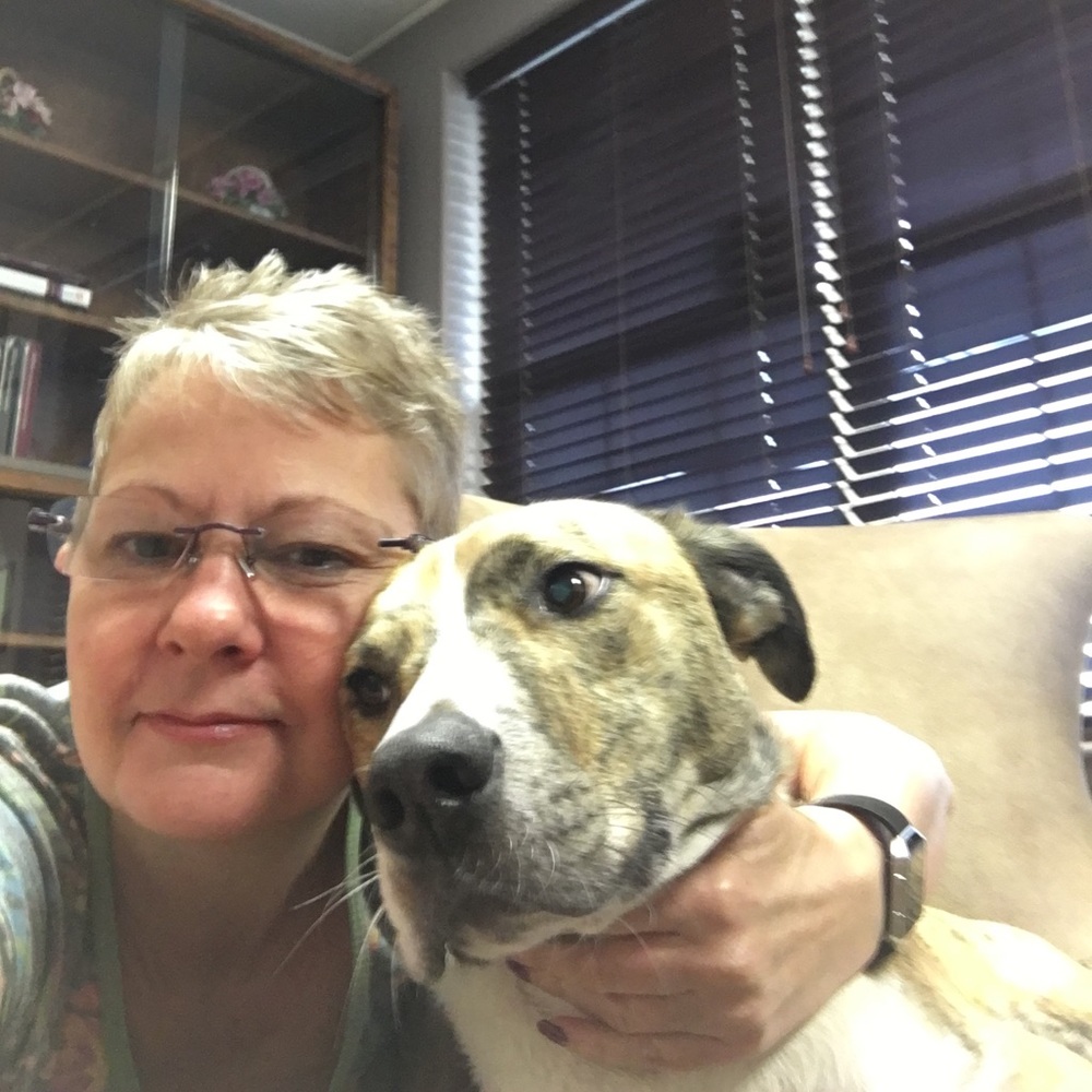 Meet your Posher, Kathy